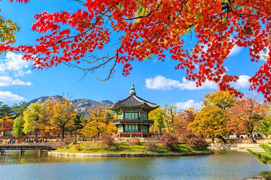 Learn to Read Korean Characters Online Course